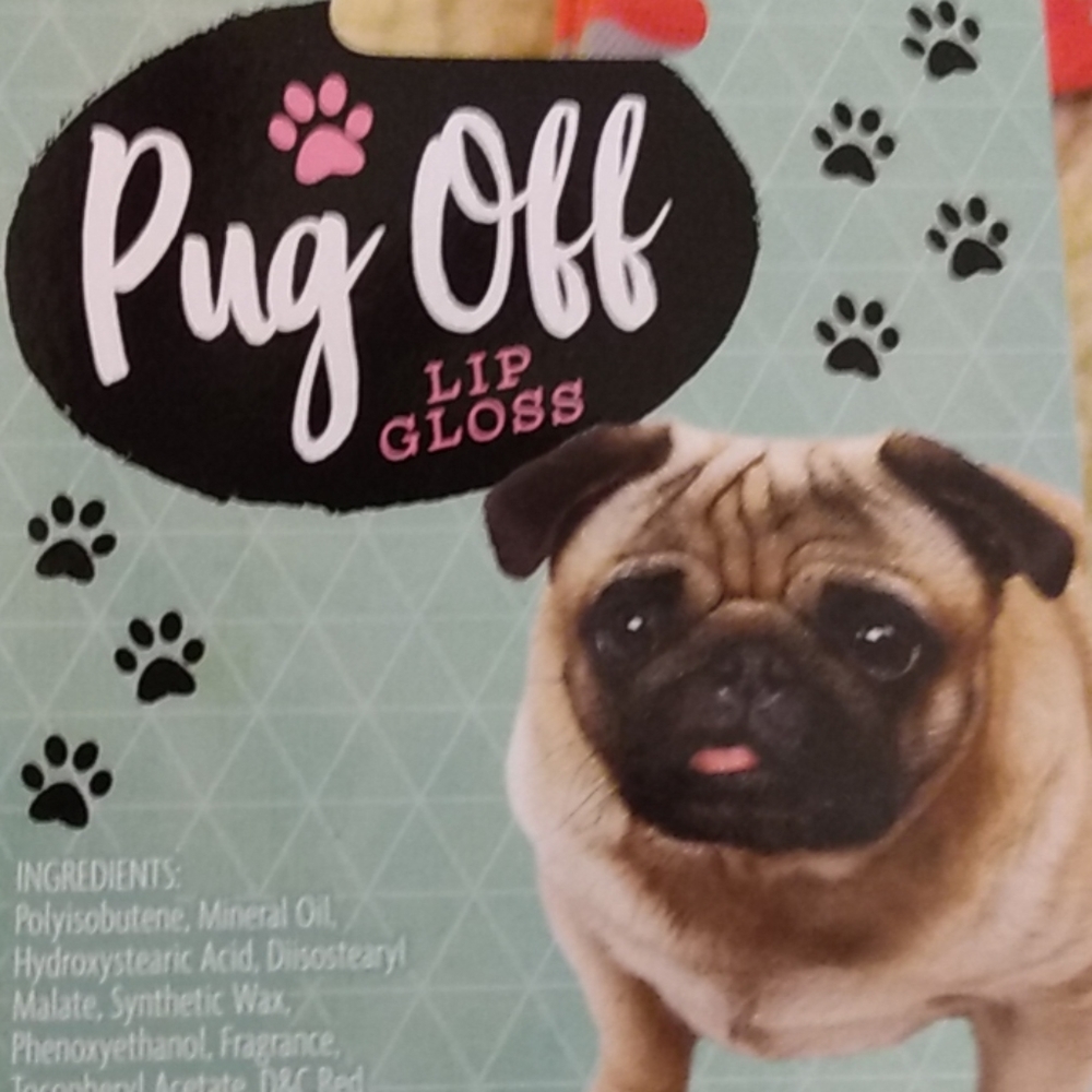 Just sharing with a fellow pug lover
